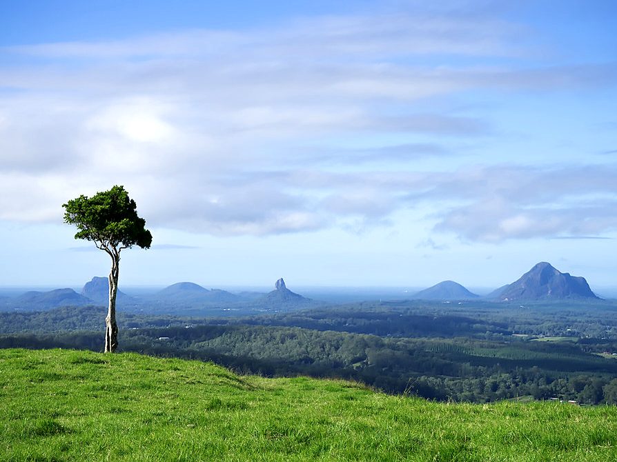 A lone tree on One Tree Hill looking over the Sunshine Coast hinterland